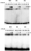 FIG. 6.