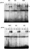 FIG. 7.