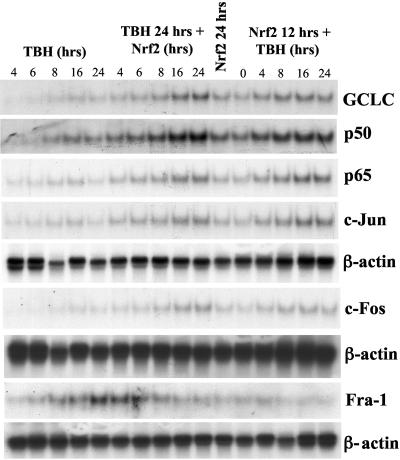 FIG. 9.