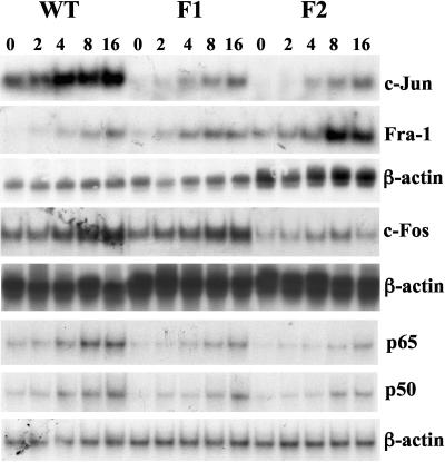 FIG. 5.