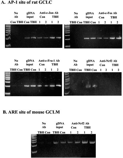 FIG. 13.