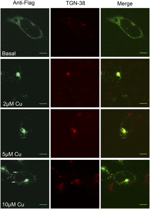 Fig. 3.