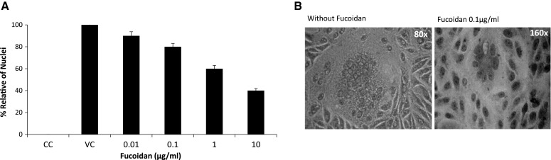 Fig. 5