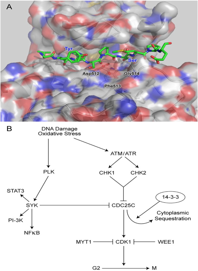 Fig. 9