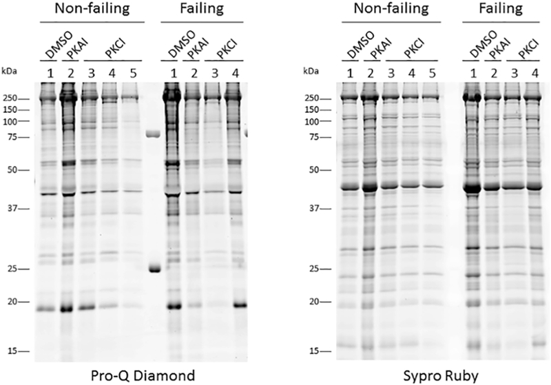 Figure 5: