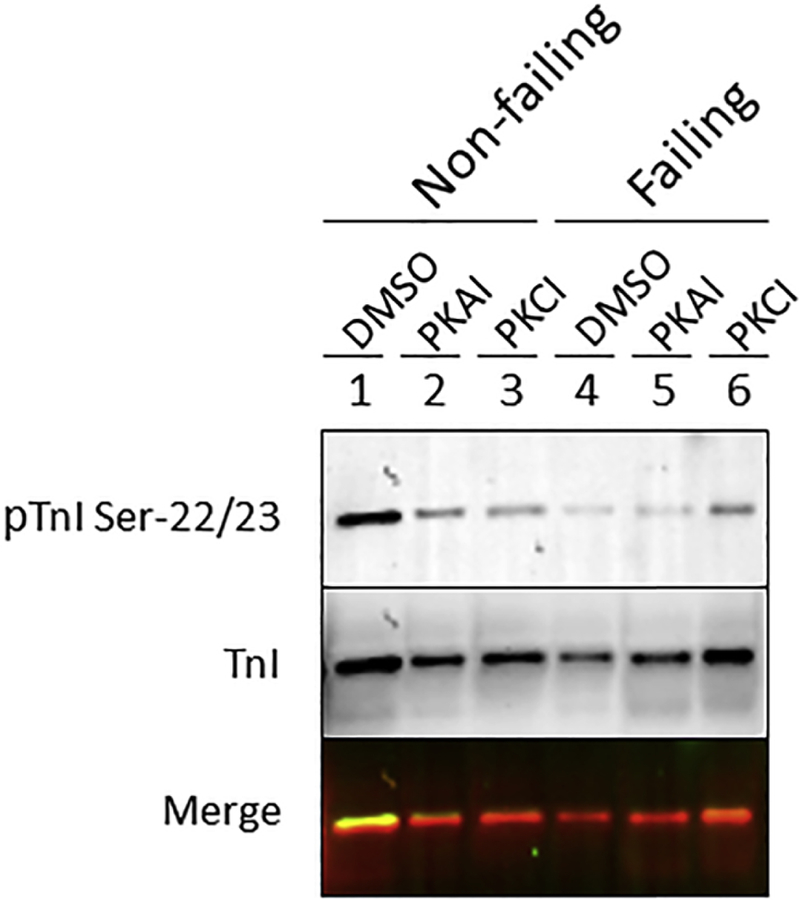 Figure 6: