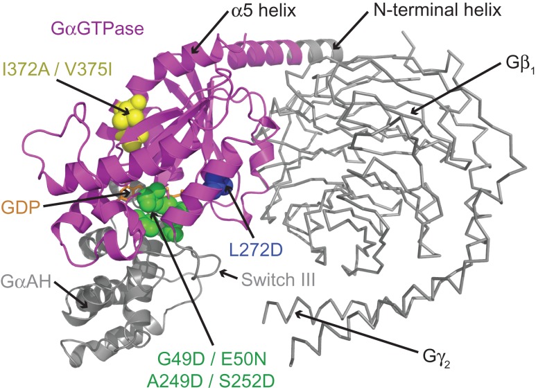 Fig. 4