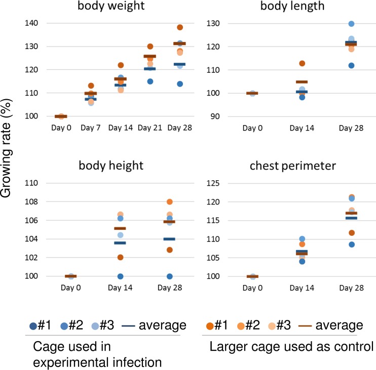 FIG 2