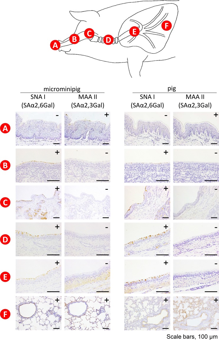 FIG 3