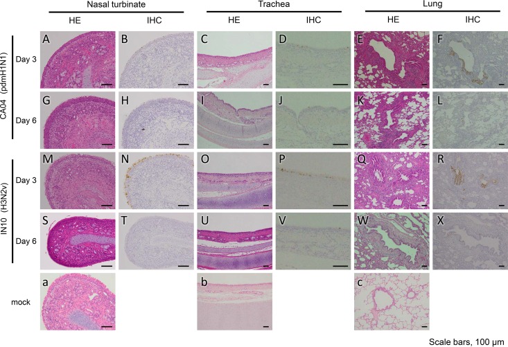 FIG 4