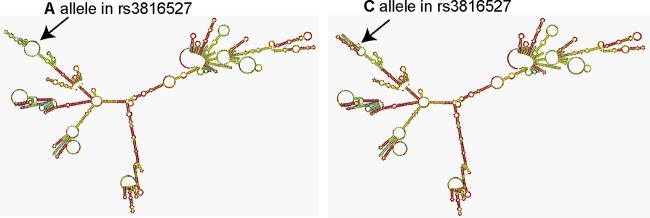 FIG 2