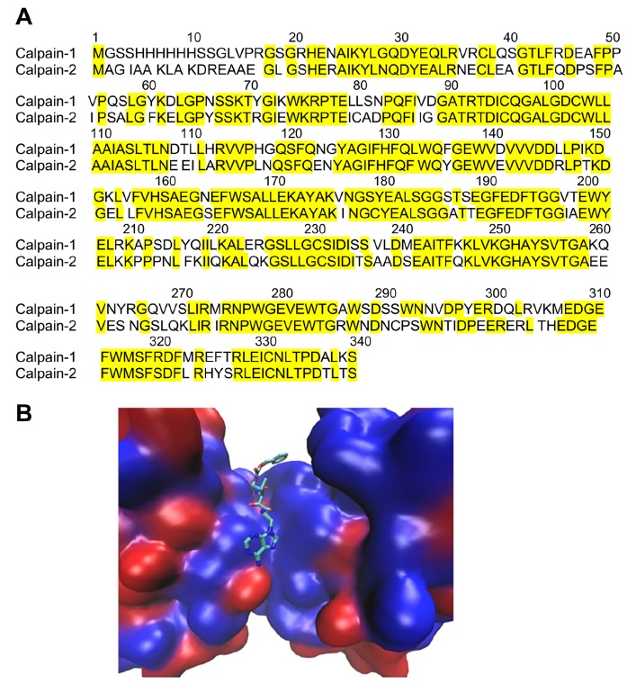 Fig. (1)