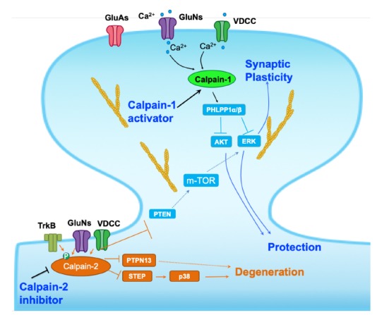 Fig. (2)