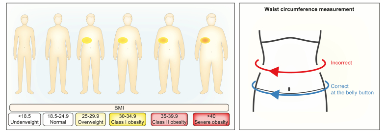 Fig. 13