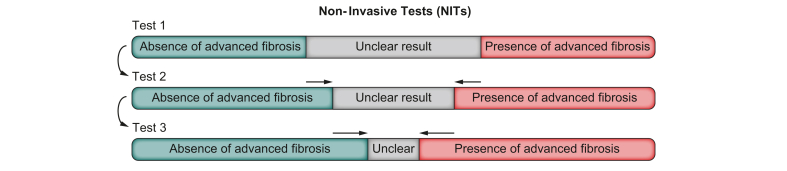 Fig. 8