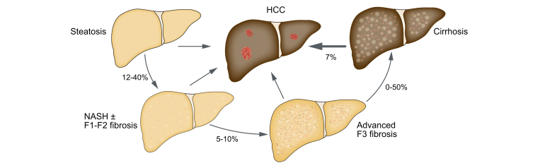 Fig. 7