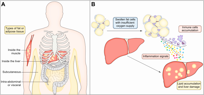 Fig. 3