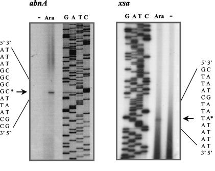 FIG. 4.