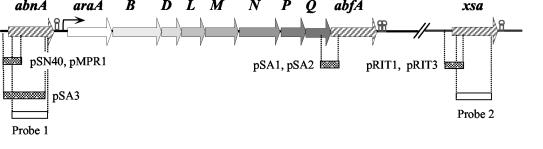 FIG. 1.