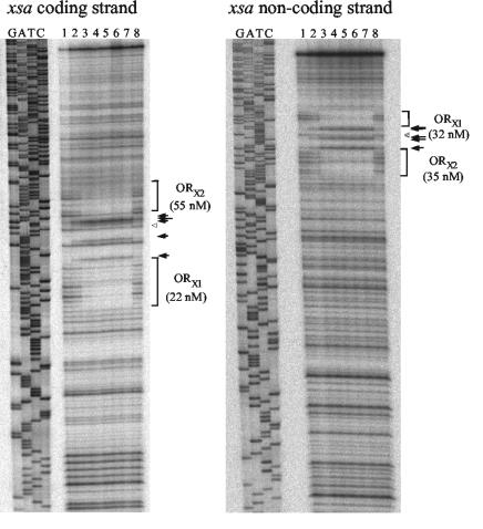 FIG. 6.