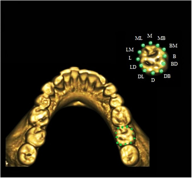 Fig 3