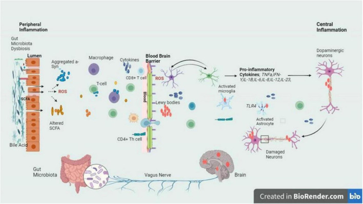 FIGURE 3