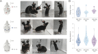 Figure 3—figure supplement 1.