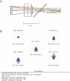 Figure 1—figure supplement 1.