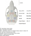 Figure 3—figure supplement 2.