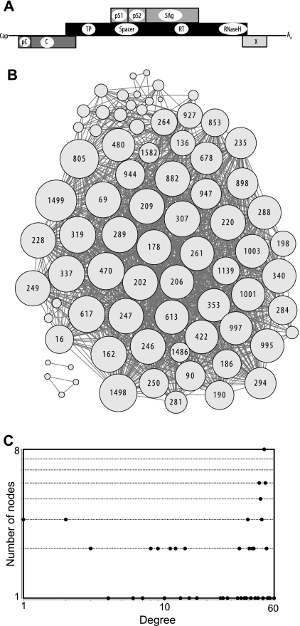 Fig 6