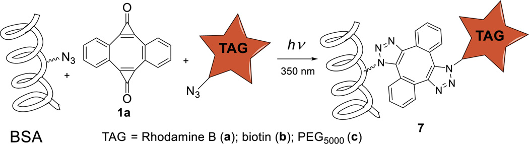 Scheme 3