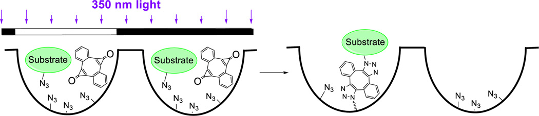 Scheme 4