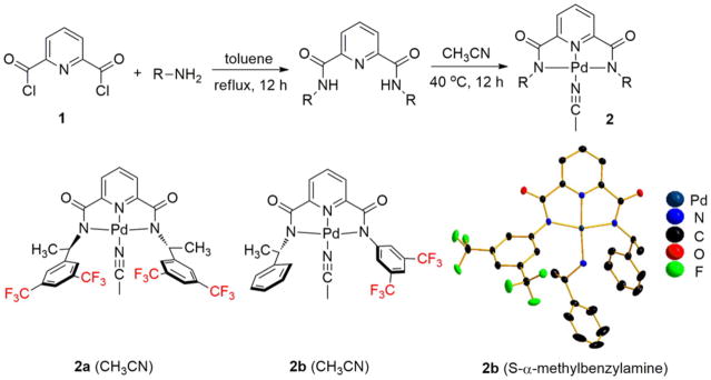 Scheme 2