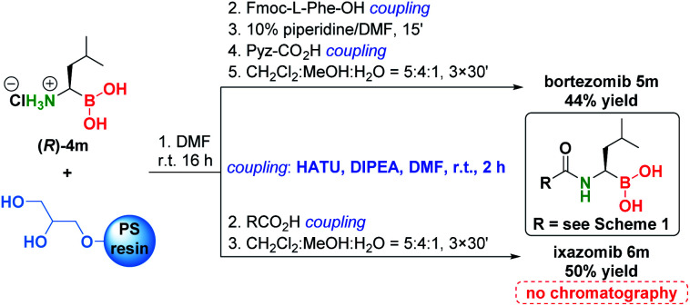 Scheme 6