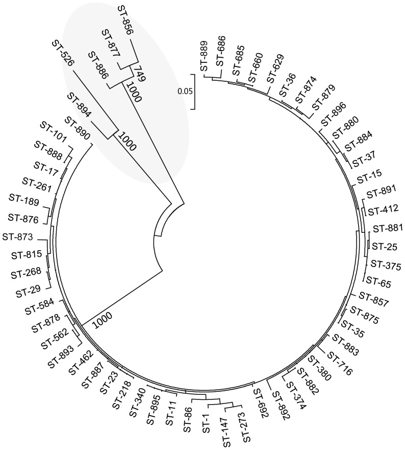 Figure 4