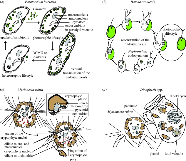 Figure 3.