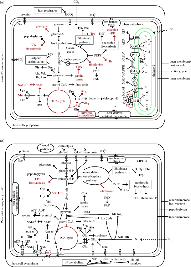 Figure 2.