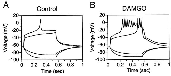 Fig. 9.