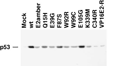 FIG. 8