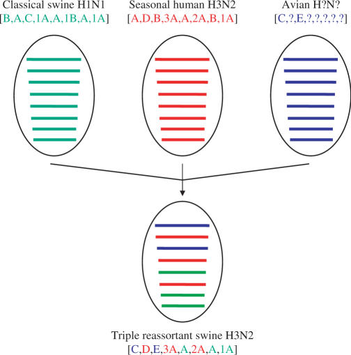 Figure 3.