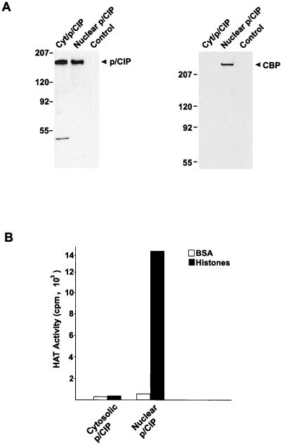 FIG. 10.