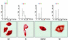 FIG. 4.