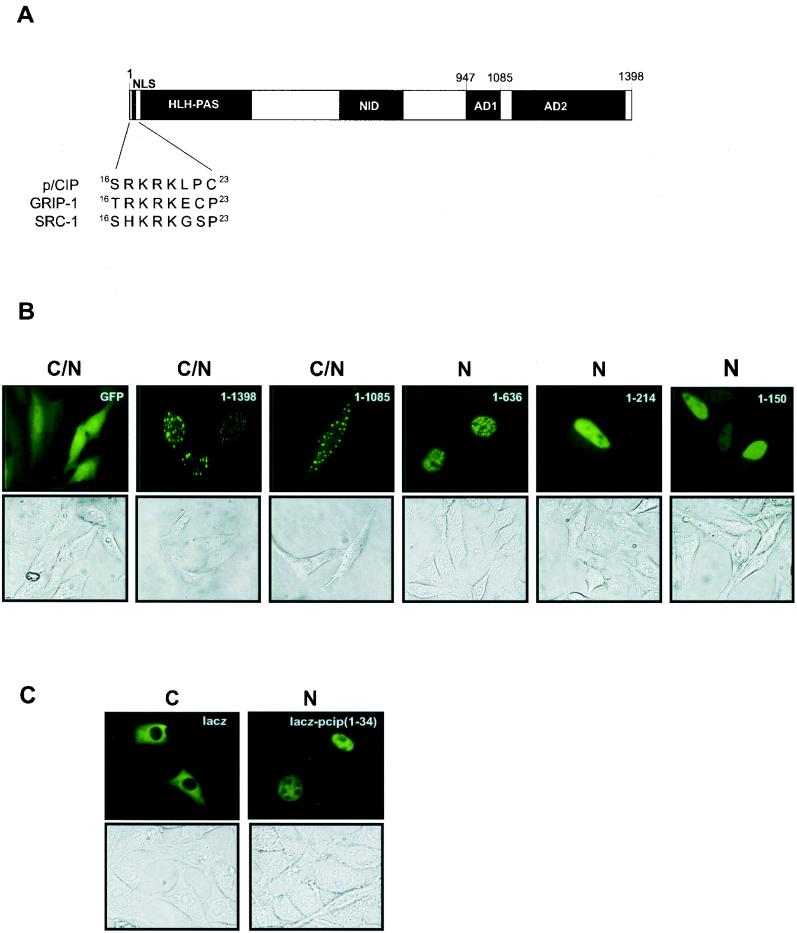 FIG. 6.