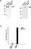 FIG. 10.
