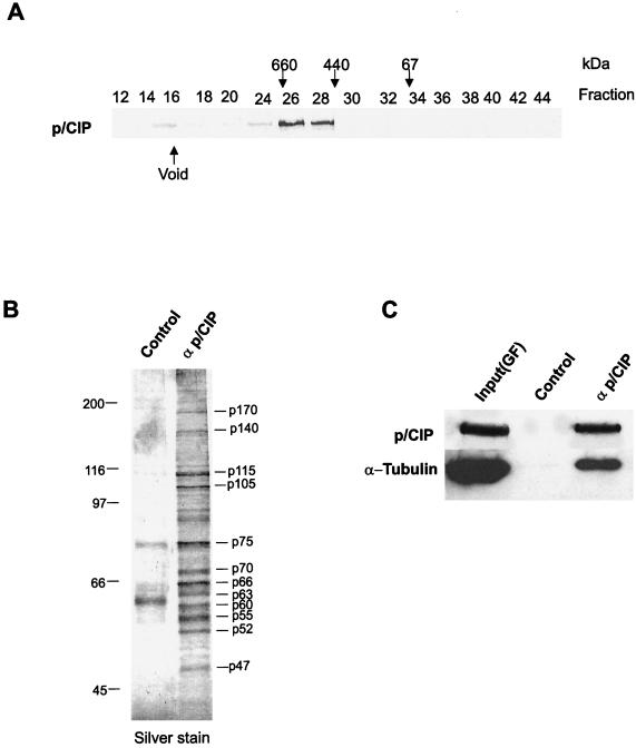 FIG. 9.