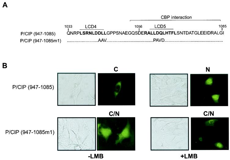 FIG. 7.