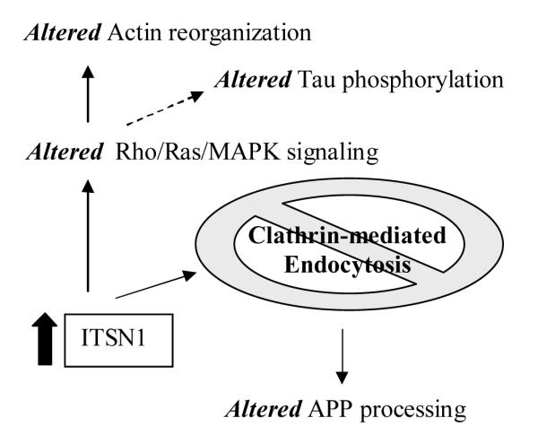 Figure. 3