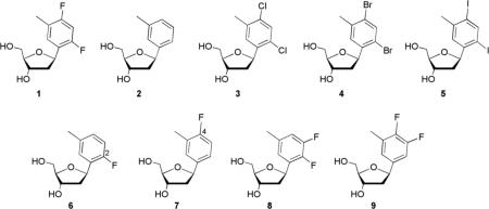 graphic file with name nihms-106304-f0002.jpg