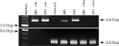 FIG. 4.