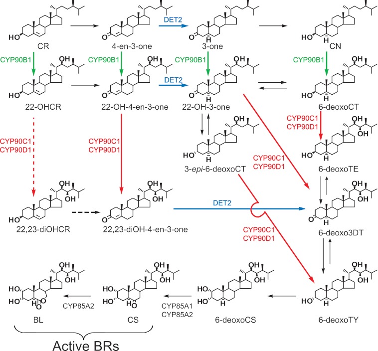 FIGURE 1.